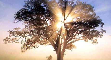 The Urgency of Emergence