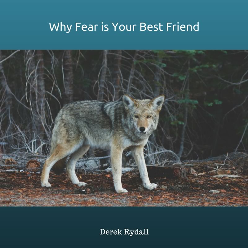 Why Fear is Your Best Friend [Podcast]