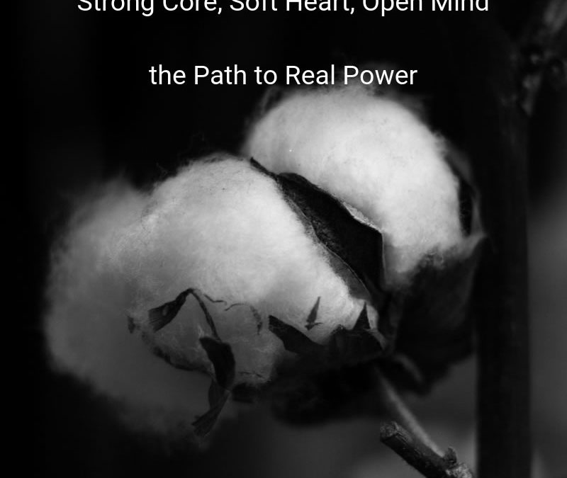Strong Core, Soft Heart, Open Mind: the Path to Real Power [Podcast]