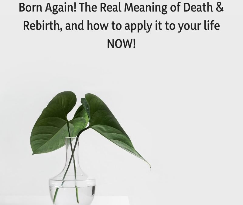 Born Again! The Real Meaning of Death & Rebirth, and how to apply it to your life NOW! [Podcast]