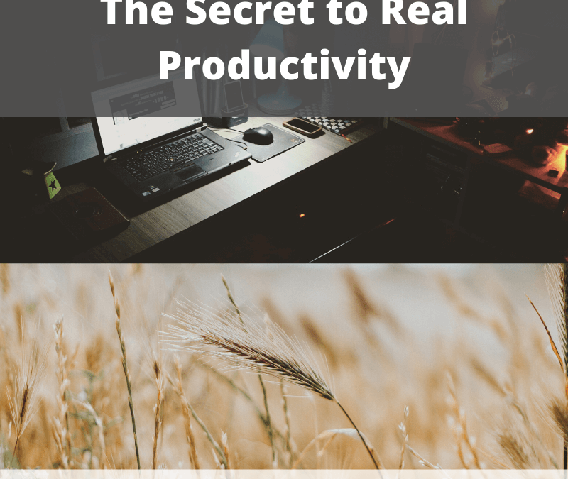 The Secret to Real Productivity [Podcast]