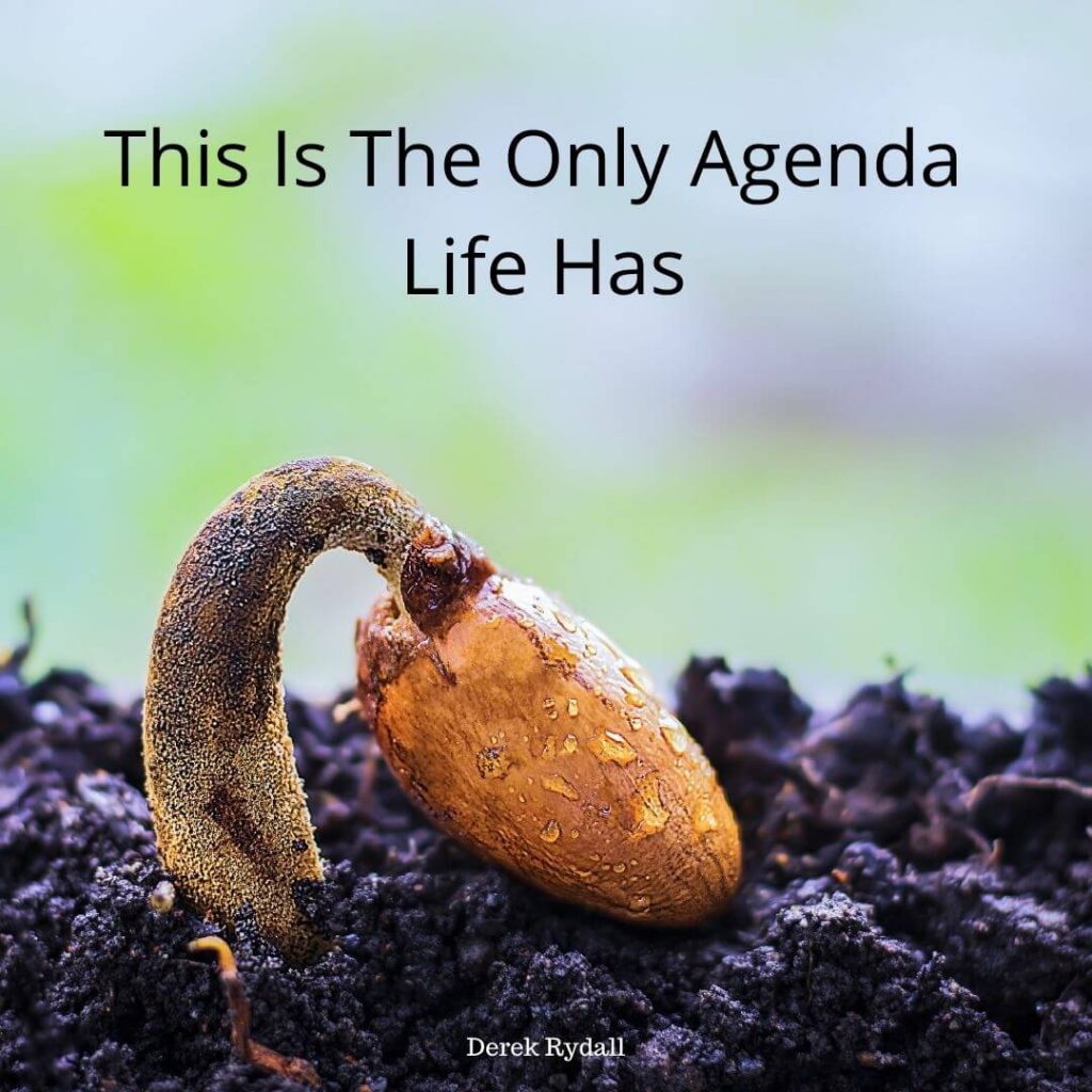 This Is The Only Agenda Life Has [Podcast]