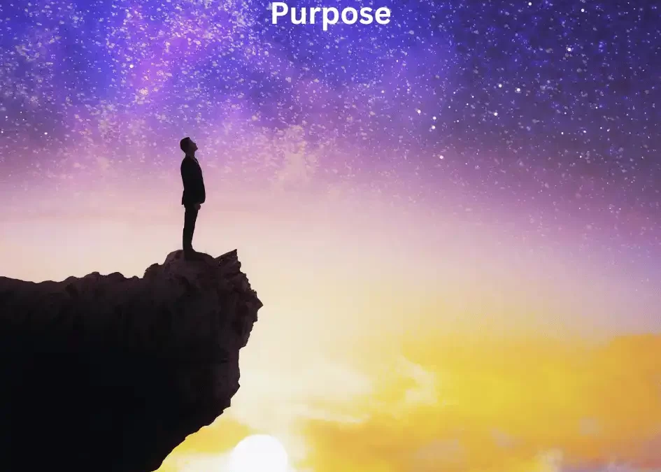 (Bonus Episode) The 7 Paths to Your True Purpose