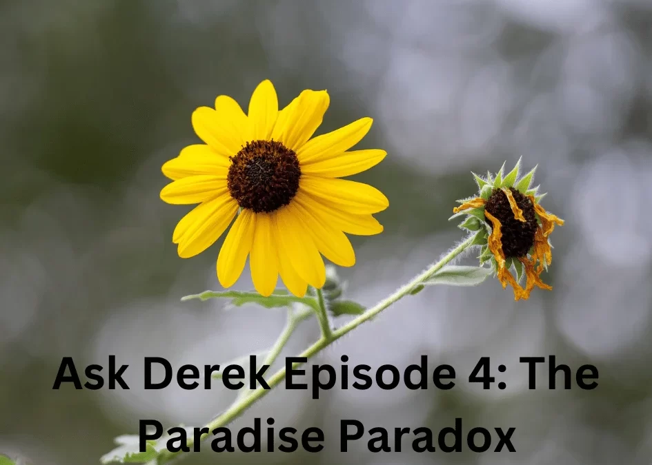 (Bonus Episode) Ask Derek Episode 4: The Paradise Paradox