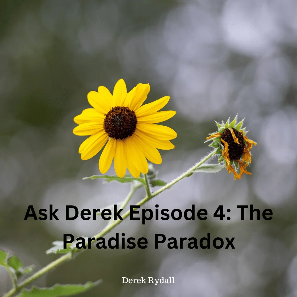 (Bonus Episode) Ask Derek Episode 4: The Paradise Paradox