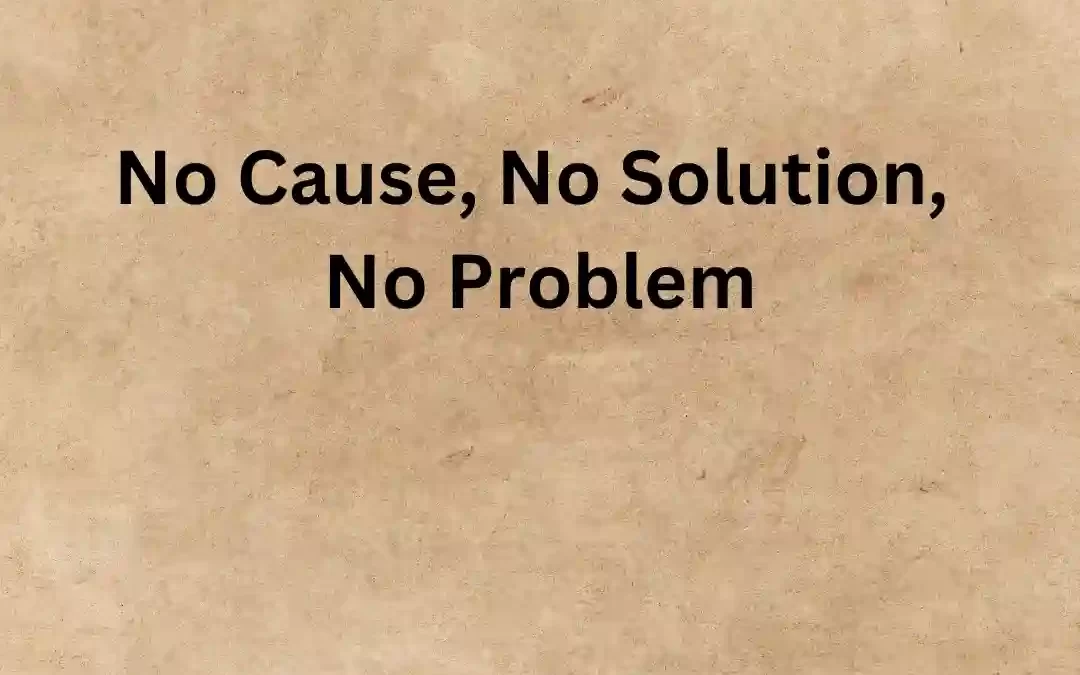 (Bonus Episode) No Cause, No Solution, No Problem